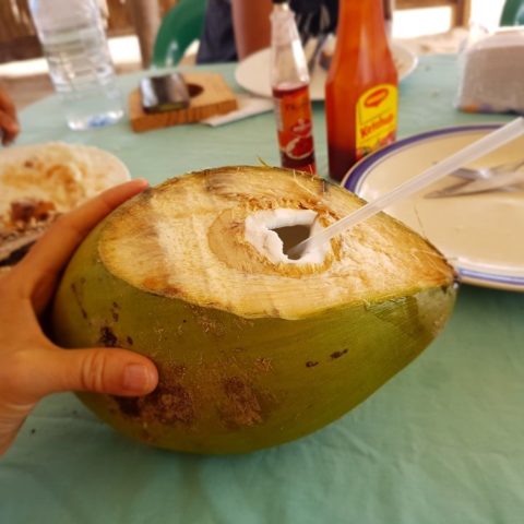 Sok z świeżego orzecha kokosowego, fot. Beata Pawlikowska 