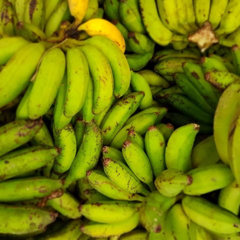 Banany owocowe, fot. Beata Pawlikowska