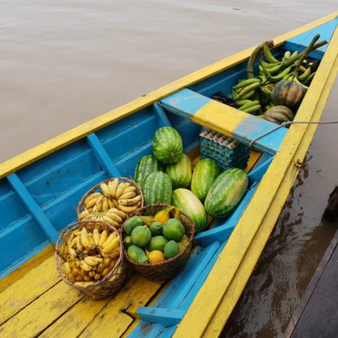 Zapas owoców przygotowany na czas wyprawy do dżungli – banany, papaje i arbuzy