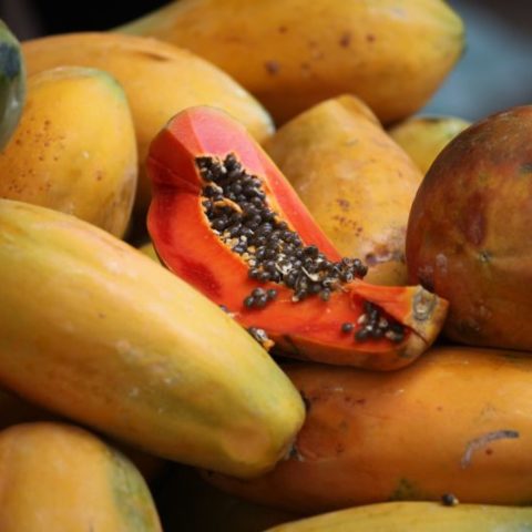 Delikatna, kremowa papaja, która dla Indian jest też źródłem lekarstw na różne dolegliwości, Meksyk