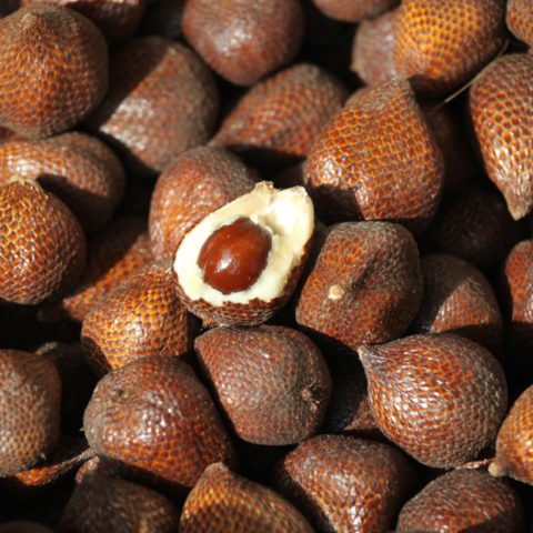 Salak (Salacca Zalacca), wężowy owoc, o twardej łupinie i miękkim miąższu w smaku podobnym do gruszki, Indonezja