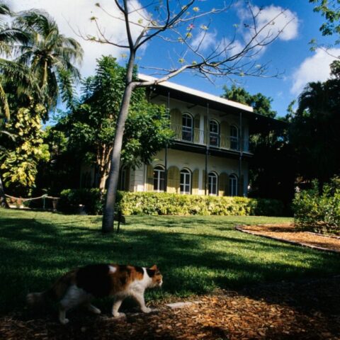 Dom Ernesta Hemingwaya na wyspie Key West, USA.